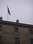 IMGP6325.jpg