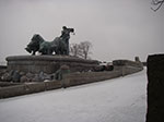 IMGP6327.jpg
