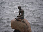 IMGP6335.jpg