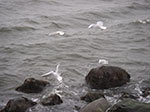 IMGP6346.jpg