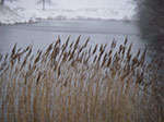 IMGP6355.jpg