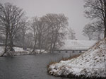 IMGP6357.jpg