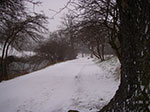 IMGP6358.jpg