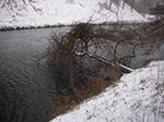 IMGP6359.jpg