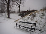 IMGP6362.jpg