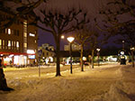 IMGP6433.jpg
