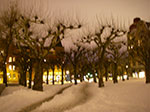 IMGP6434.jpg