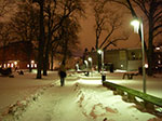 IMGP6440.jpg