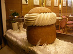 IMGP6448.jpg