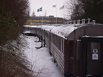 IMGP6486.jpg