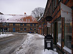 IMGP6487.jpg