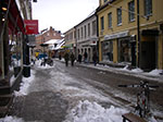 IMGP6505.jpg