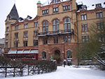 IMGP6506.jpg