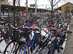 IMGP6510.jpg