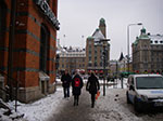 IMGP6520.jpg