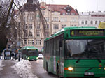 IMGP6528.jpg