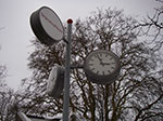 IMGP6529.jpg