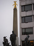 IMGP6542.jpg
