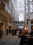 IMGP6544.jpg