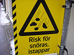 IMGP6547.jpg