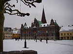 IMGP6555.jpg