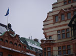 IMGP6557.jpg