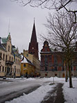 IMGP6558.jpg