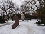 IMGP6623.jpg