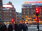 IMGP6651.jpg