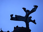 IMGP6654.jpg