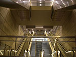 IMGP6720.jpg