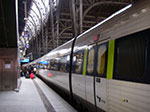 IMGP6775.jpg