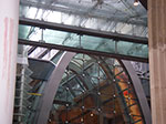 IMGP6785.jpg