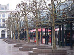 IMGP6796.jpg