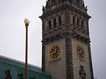 IMGP6809.jpg