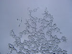 IMGP6901.jpg