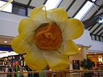 IMGP6912.jpg