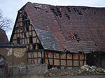 IMGP6945.jpg