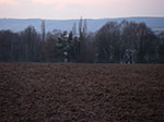IMGP6989.jpg