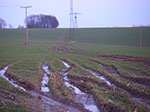 IMGP7013.jpg