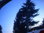 IMGP7022.jpg