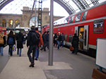 IMGP7036.jpg