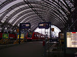 IMGP7038.jpg