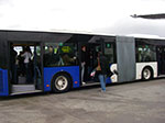 IMGP7050.jpg