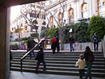 IMGP7118.jpg