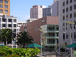 IMGP7155.jpg