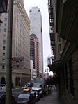 IMGP7232.jpg