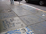 IMGP7234.jpg