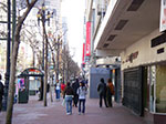 IMGP7341.jpg