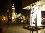 IMGP7463.jpg